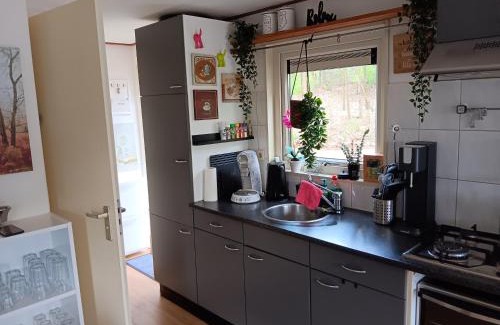 Arcen Ski Chalet | Vakantiepark Klein Vink - 25 A