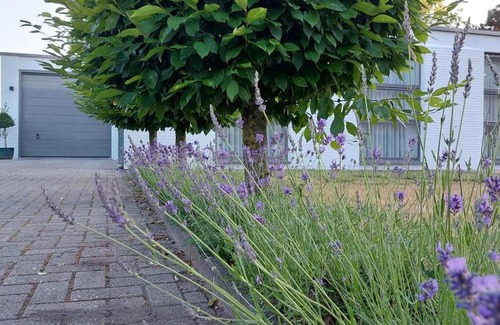 Zutendaal House | Vakantiewoning De Papendaler