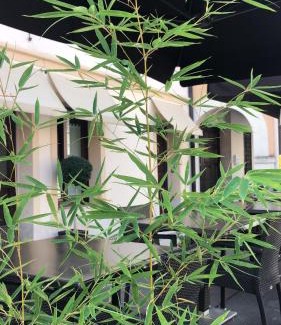 Portogruaro Bed & Breakfast | Valentino b&b