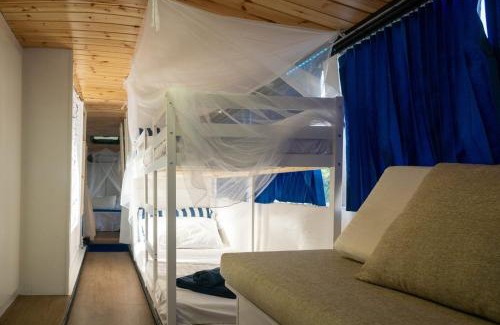 Goito Other | VamosBus