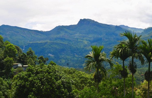 Katukitula House | Varanda With A View