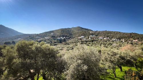 Varia Villa | Variea Vista