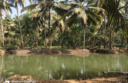 Honavar House | Veeru Nature Homestay Honnavara