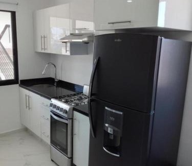 Diaz Ordaz Apartment | Venecia 262