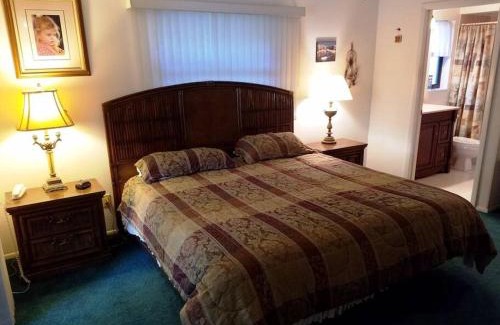 South Venice House | Venice Pool Home by AcoralBay 5 Min to the beach & town