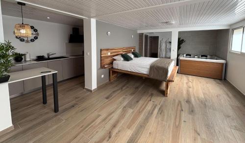 Sainte-Marie Apartment | VENUS LOCATION - Loft climatisé avec Spa