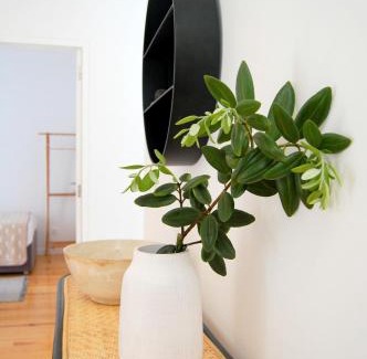 Ponta Delgada House | Verde'Água Family Home