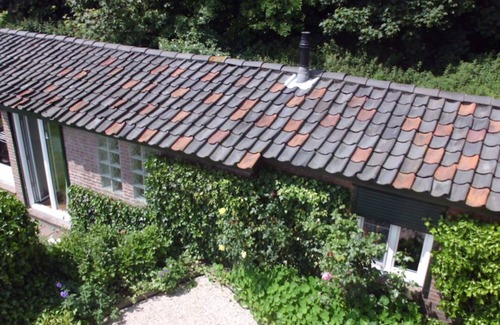 Egmond aan Zee Cottage | Very private, just the owner around