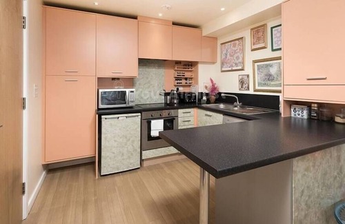 Shooters Hill Apartment | Vibrant 1BR flat in Greenwich