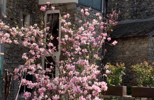 Dolceacqua House | Vicolo Rosso 2