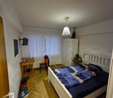 Centrul Nou Apartment | Victoriei Residence