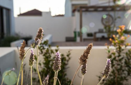 Vila Nova de Milfontes House | Vida na Vila