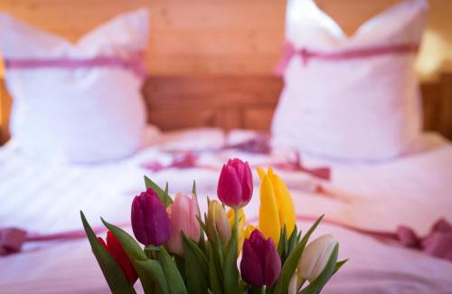 Sicasau Resort | Vidra Park