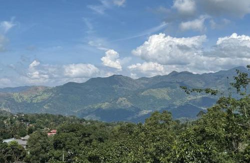 Rikillagaskada House | View 240