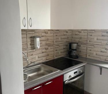 Bragadiru Apartment | Vila cu trandafiri Apartament 2 camere