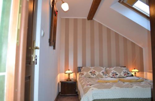 Vatra Dornei House | vila Dariana