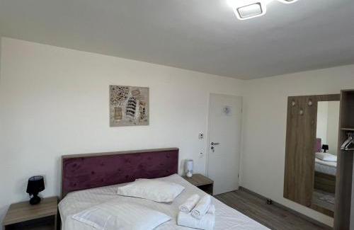 Campulung Moldovenesc House | VILA DAVELY