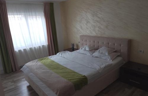 Tirgu Jiu Apartment | VILA DAVISON