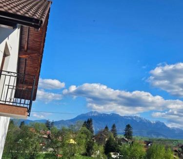 Zarnesti House | Vila de Sub Pădure