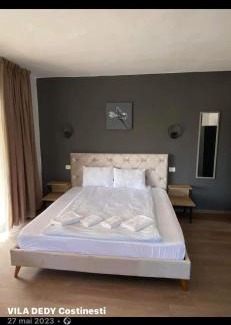 Costinesti House | Vila Dedy