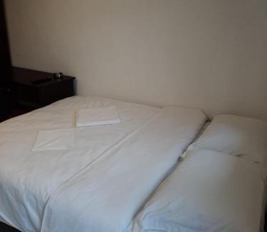 Ghimbav House | Vila Dionysos Brasov