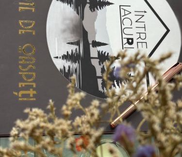 Sovata Hotel | Vila Intre Lacuri