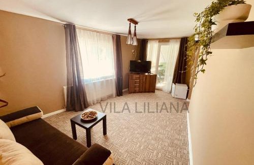 Predeal House | Vila Liliana