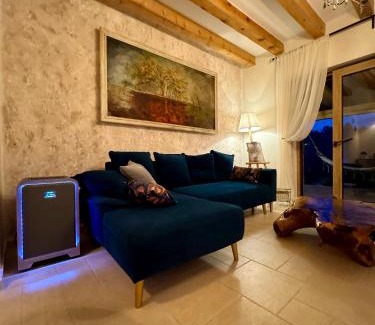 Tractorul Villa | Vila Luna Brașov