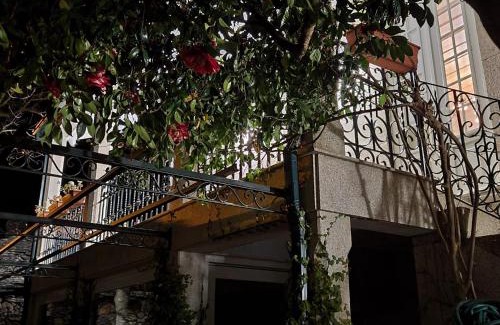 Castro Daire Bed & Breakfast | Vila Nazaré
