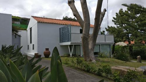 Horta House | Vila Odette