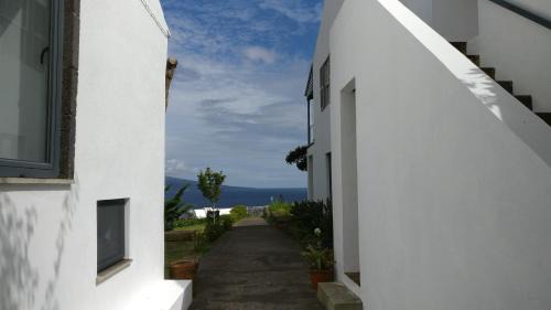 Horta House | Vila Odette