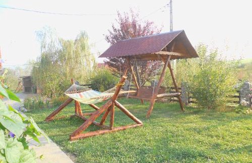 Albesti House | Vila Sura Razoare