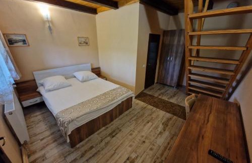 Albesti House | Vila Sura Razoare