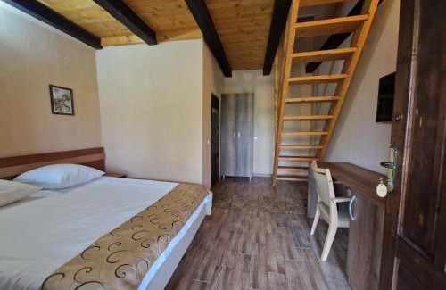 Albesti House | Vila Sura Razoare