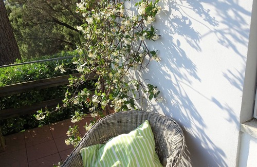 Massarosa Villa | Villa surrounded by green woods, with a wonderful view on the coast. FREE WIFI