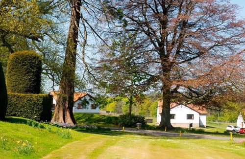 Pittenweem House | Villa 83, 3 Bedrooms, Sleeps 8, with Leisure Club Access
