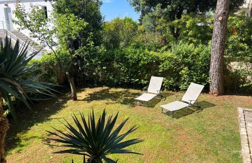 Pjescana Uvala Apartment | Villa Adriana & Peppino