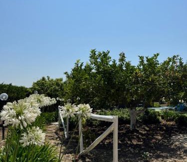 Menfi Villa | Villa Ammaliante