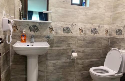 Bakuriani Villa | Villa Baghdo Bakuriani