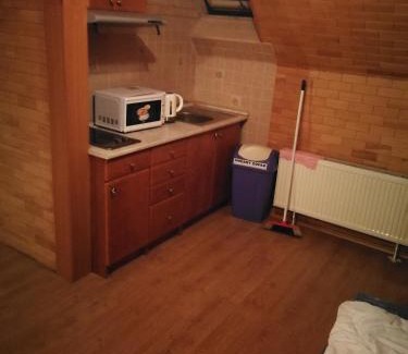 Prague 5 Apartment | Villa Barrandovská