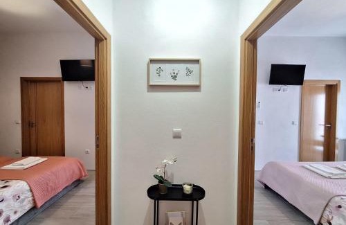 Castro Daire House | Villa Boas House