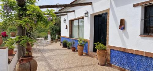 Constantina House | Villa Botero