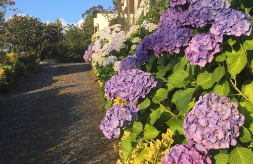Bouro House | Villa Bouro - Terras de Bouro - Gerês