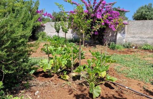 San Pietro in Bevagna House | Villa Carmela a San Pietro in Bevagna (TA)