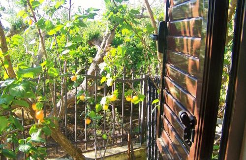 Il Monte House | Villa Casa Vacanze Fiore