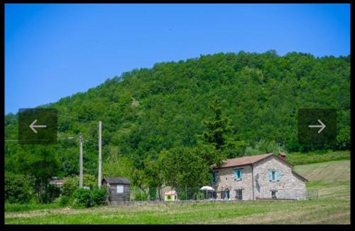 Montegrimano Villa | Villa Coccole