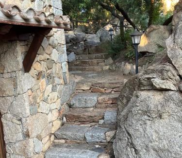 Castiadas Villa | Villa Dante