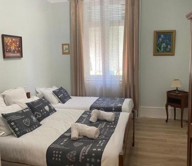 Colmar Centre Ville Apartment | Villa de la Semm - Iconique à Colmar avec parking