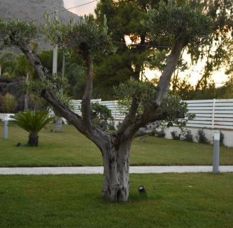 Carini Villa | Villa dei Pioppi Deluxe