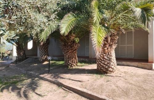 Badesi House | Villa del Palmeto